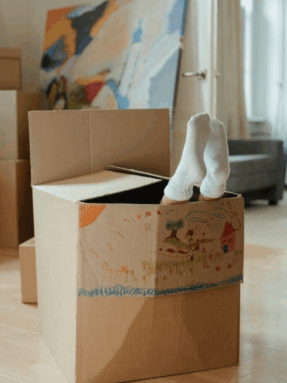 Home Setup Support & Relocation Setup 2